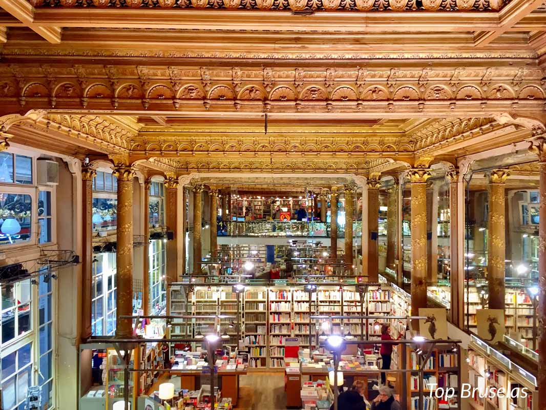 Techos de la hermosa libreria TROPISMES