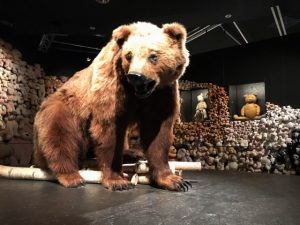 Oso gigante museo ciencias naturales