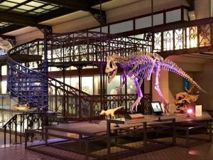 15 planes para disfrutar de Bruselas en familia dinosaurio