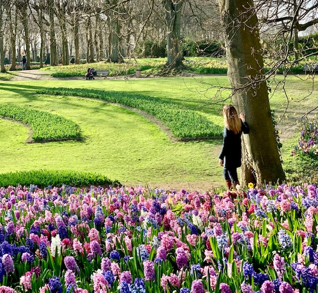 Floralia Brussels