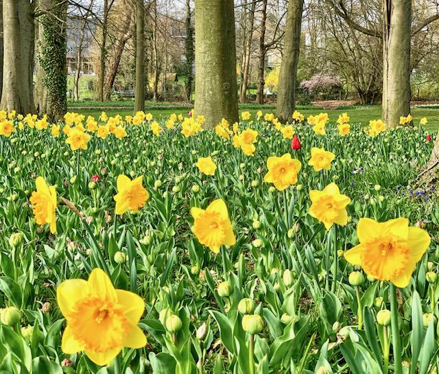 Floralia Brussels