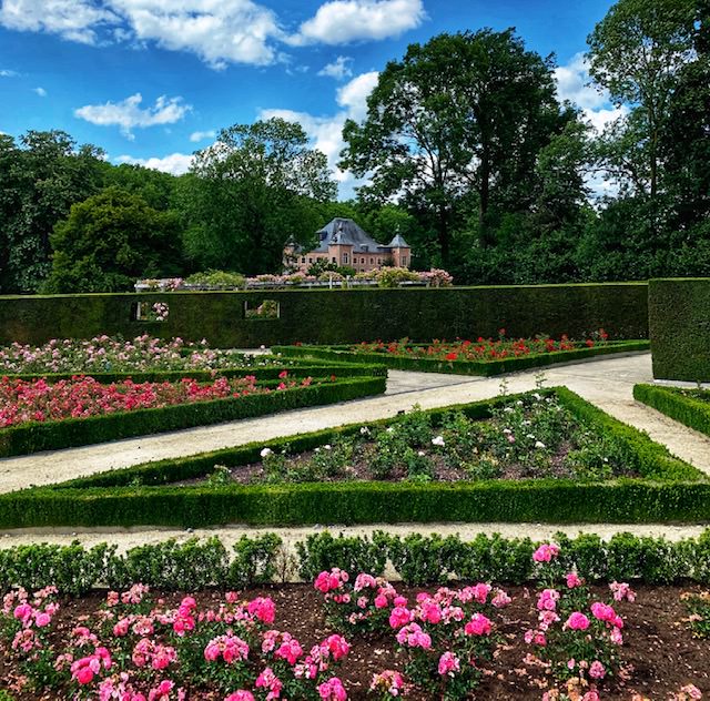 Jardin de rosas Coloma