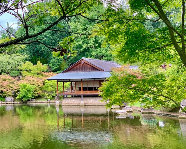 Jardín japonés de Hasselt 